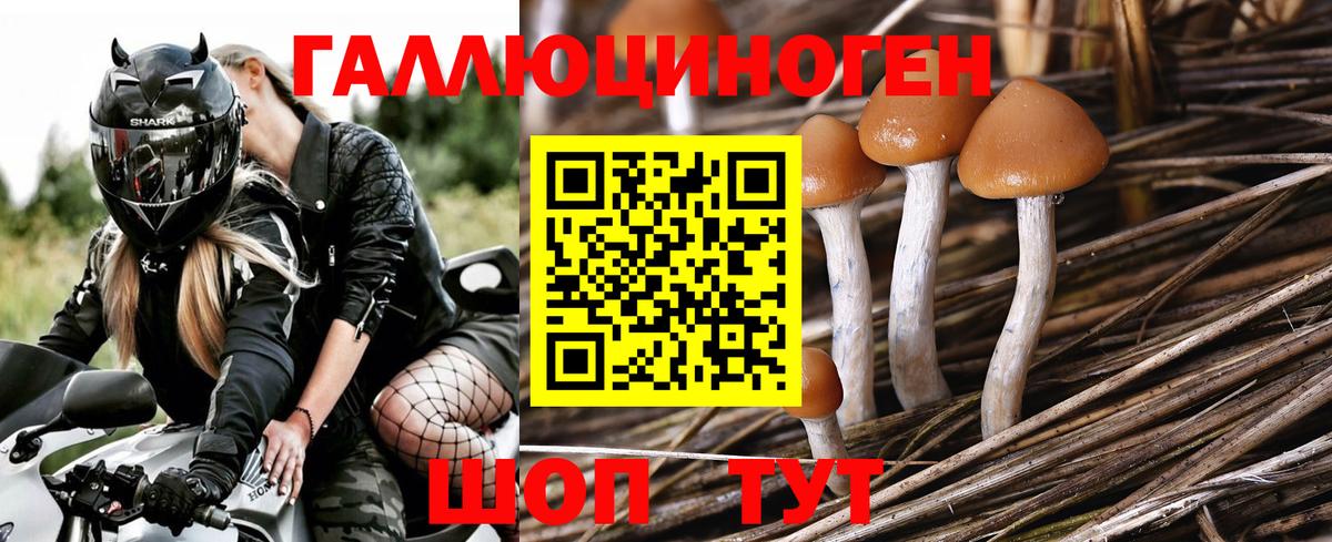 Галлюциногенные грибы GOLDEN TEACHER Коммунар
