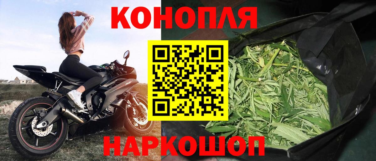 Каннабис конопля Коммунар